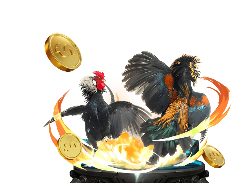 Casino Trực Tuyến bk8go